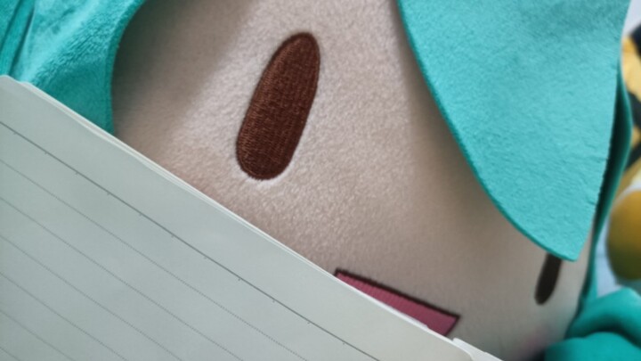 ฟู่ฟู่ที่ต้องทำการบ้าน!