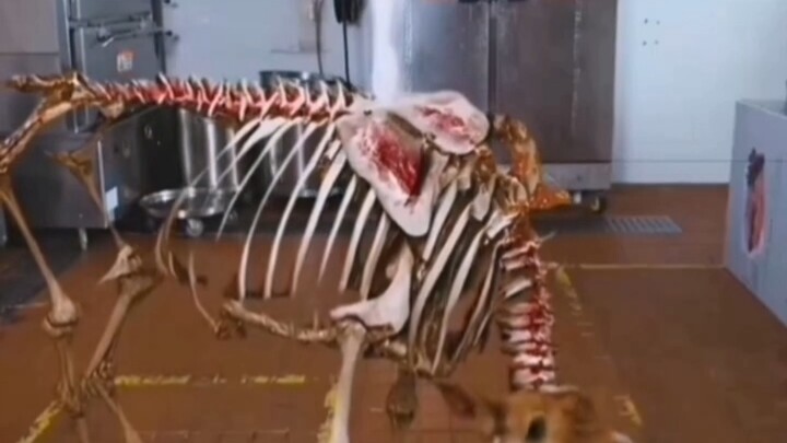 Giới săn tìm điều kỳ lạ lại có thêm vài đại thần mới!!!