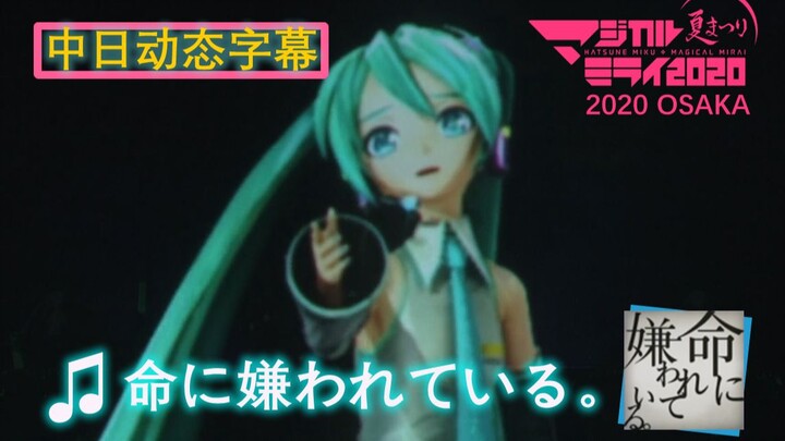 [Chinese-Japanese Dynamic Subtitles] "Being Hated by Life." [Magical Mirai 2020]