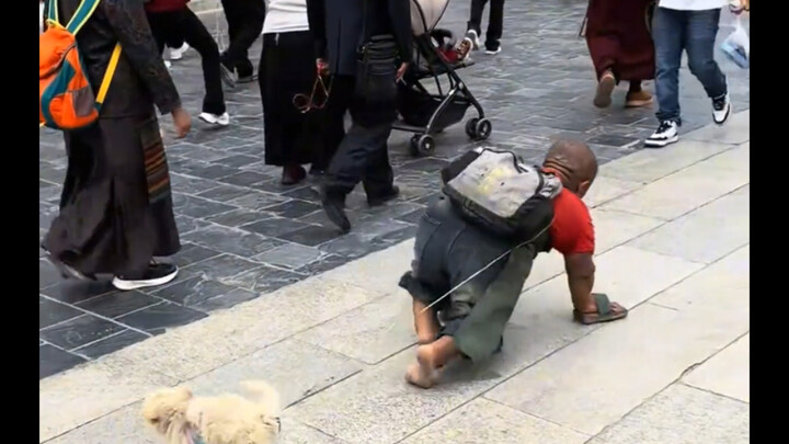 “Why on earth would you bring a dog along on a Tibetan pilgrimage and make it suffer too!”