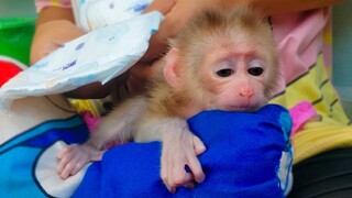 So Adorable!! Tiny handsome boy Luca keep silent and patiently while Mom put on a new diaper