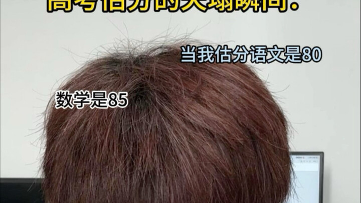 The moment the sky fell when estimating Gaokao scores: