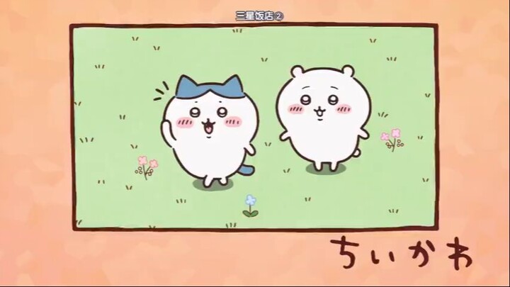 chiikawa71-80集【小可爱_吉伊卡哇_ちいかわ】