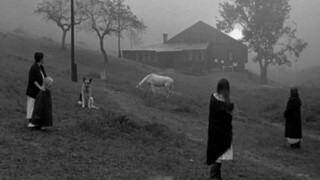 Andrei Tarkovsky's Poetic Film Aesthetics