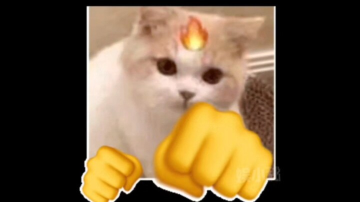 Kalau kamu belajar ini, pasti bakal jadi yang paling hebat!