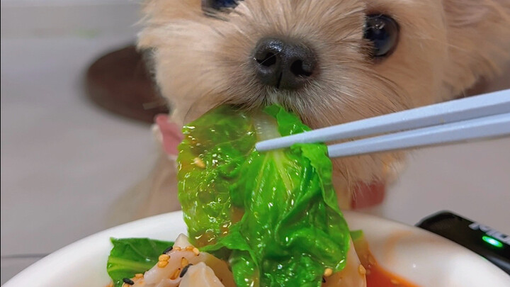 วันนี้กินเกี๊ยวน้ำน้ำมันพริก