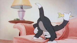 ☝🤓 Great opportunity! ⚡⚡⚡