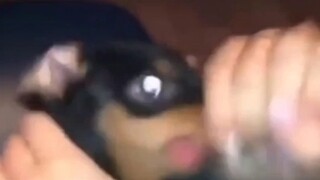 นี่ใครจะทนไหวล่ะ