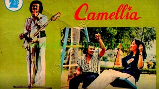Camellia 1979