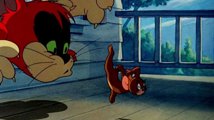 "Once a day, prevent depression" Spike: It doesn't matter, I will take action #Tom and Jerry #Childh