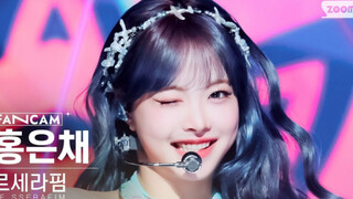 I don't allow anyone to not see Meibao's wink