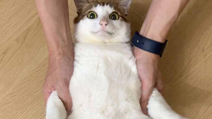 ลุงกลายเป็นผ้าขี้ริ้วไปแล้ว