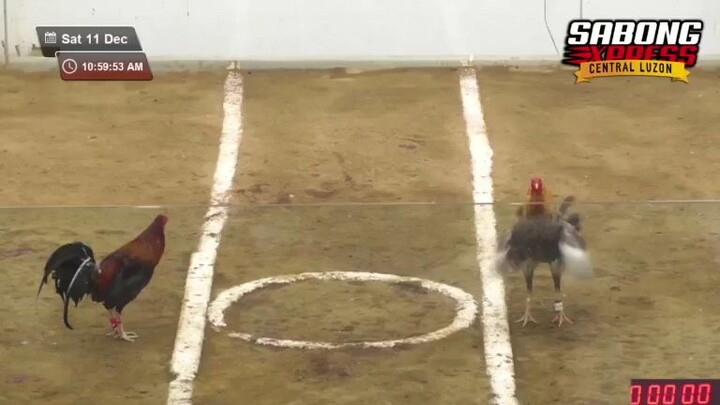 JMJ8 Red Speed And Accurate Cutting.