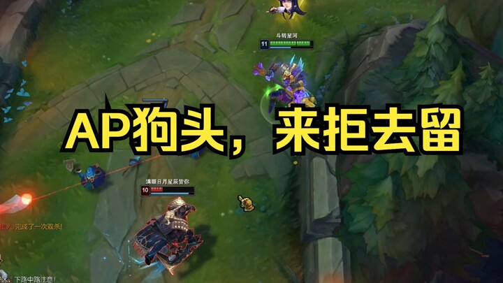 诺手玩家表示以后把把ban狗头