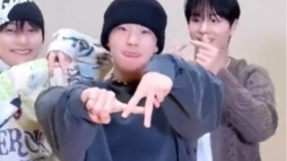 🐯正是肚子露出来还要用手按住衣服的年纪啊~🐯focus Must Have Love challenge