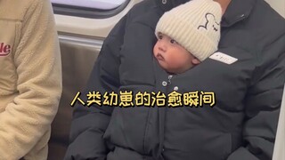 Khoảnh khắc chữa lành của chú mèo con thật dễ thương đến mức có thể làm tan chảy trái tim bạn!