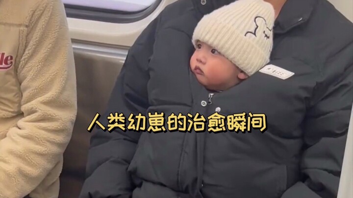 人类幼崽的治愈瞬间，心都要被萌化啦！