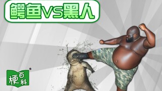 【梗百科】鳄鱼VS黑人是啥梗？为什么这黑哥们在踢鳄鱼？