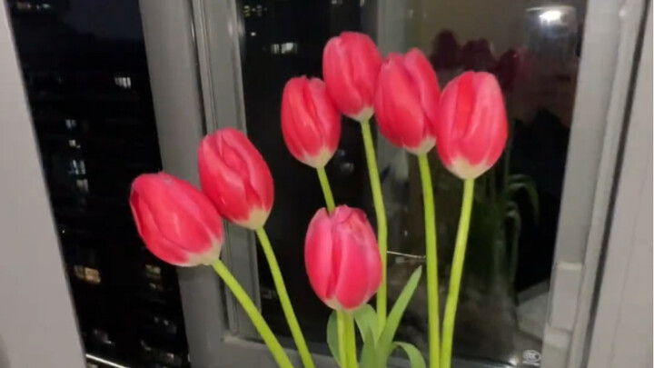 Siapa yang belum menerima bunga tulip hasil tanam sendiri dari sahabatnya?!