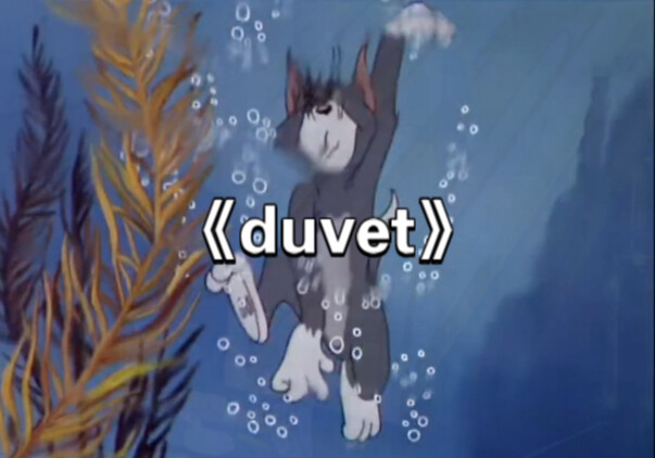 Đây mới chính là MV gốc của “Duvet”!
