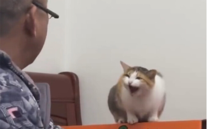 “No… it looks like they’re really communicating!”