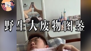 【野生人类图鉴】干啥啥不行，拉跨第一名，爷就是废物！