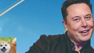 Musk really wants to play Genshin Impact? Does Musk also want to make a living? Let me analyze it!