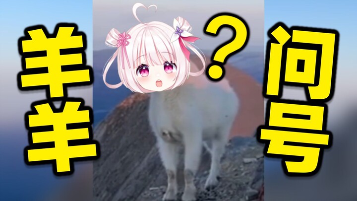 เมื่อแกะตัวน้อยฉลาดขึ้น ก็สามารถมองทะลุทุกสิ่งได้เช่นกัน!!!