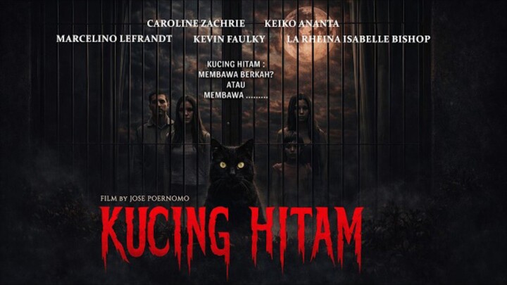 'KUCING HITAM'