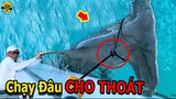 🔴Camera Vô Tình Quay Lại 8 Lần Con Người Bắt Được Thủy Quái Phi Thường Và Khó Tin Nhất