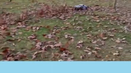 รถคันนี้ดีนะ "พาหมา" ไปเดินเล่น