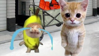 Wawadu helps Banana Cat sell raincoats