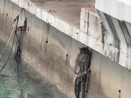 Hakimi chose diving over coding and survival.