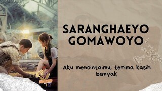 This Love (OST Descendants of The Sun) lirik dan terjemahan bahasa Indonesia - Davichi