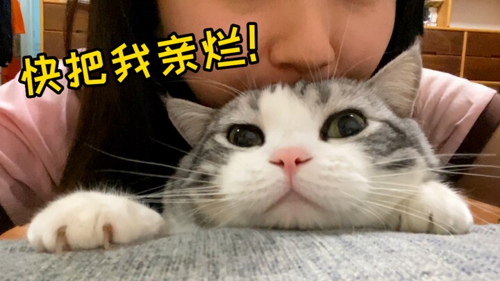 Bagaimana bisa?! Kucing kecil yang malah minta ciuman duluan!