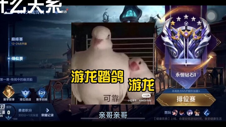 【Qingrong】Big Brother Streams on Her Behalf, Little Yellow Gets Jealous | Please Answer, Youlong Tre