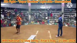 Super Domkan "Light side" Unscratched - "Cutting + Speed + Power" - 2024 WPC 12-Stag National Derby