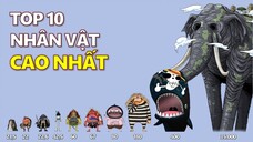 Top 10 nhân vật cao nhất trong One Piece