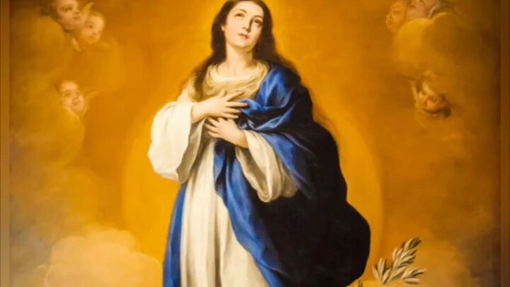 Monday, December 8, 2025 Solemnity of the Immaculate Conception of the Blessed Virgin Mary #faith #r