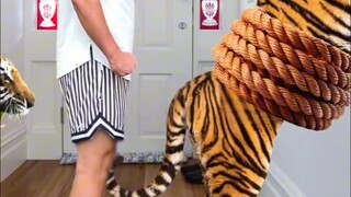 转发给你爱赤石的兄弟，并什么都不要说（17）