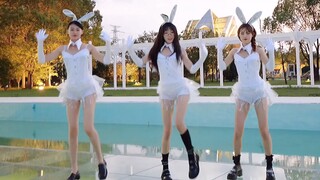 Rabbit is coming, please don't talk and play on a loop quietly