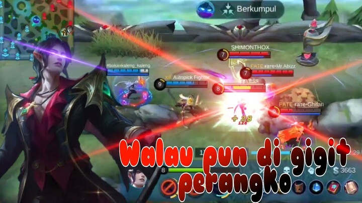 Top lokal cecilion | new build cecilion tersakiti | damagenya ga ada otak