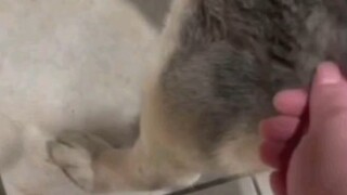 Bạn đang làm gì vậy?