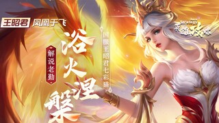 Wang Zhaojun's super large tutorial from 0! Skills that even the national server may not know!