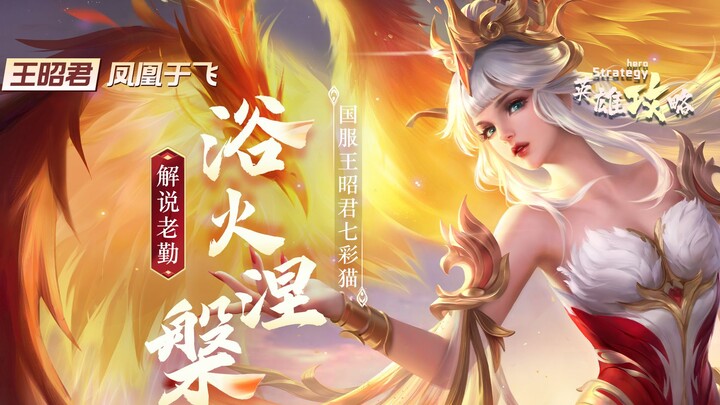 บทช่วยสอนสุดอลังการจาก Wang Zhaojun! ทักษะที่แม้แต่เซิร์ฟเวอร์ระดับชาติก็อาจไม่รู้!