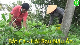 479   Đặc Lú Đồng Trục - Làm Món Ăn Tại Chòi | Đất Phương Nam