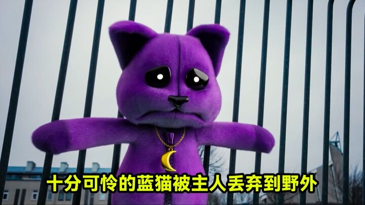 Chú mèo xanh nhỏ vô cùng đáng thương đã bị chủ nhân nhẫn tâm vứt bỏ ngoài thiên nhiên.