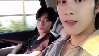 Bộ sưu tập thân cây (9.0)