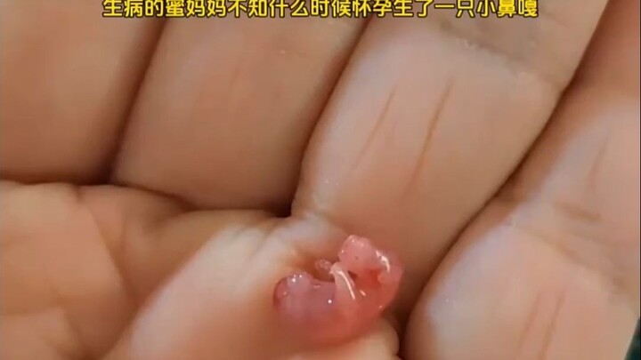 I’m willing to keep cherishing you forever.