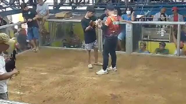 laki ng kalaban kaso 1hit lang sa alaga ko win tayo jan mga idol